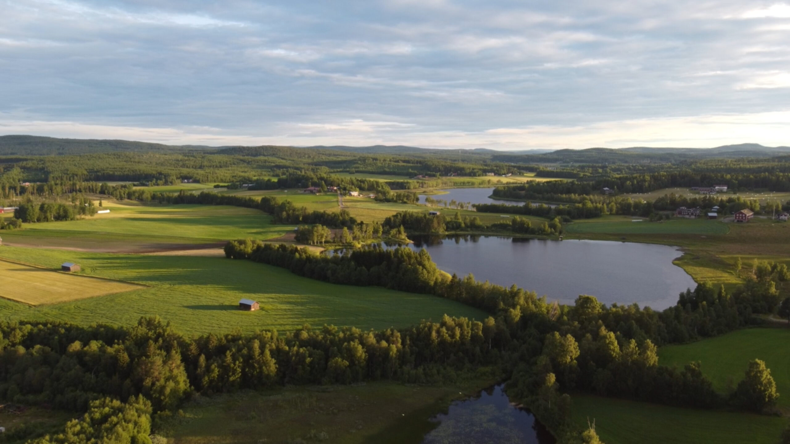 Flygbild tagen med drönare av svensk natur